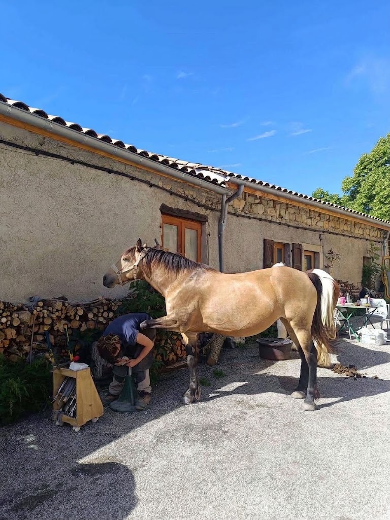 Parage sur une terrasse, dans le Diois